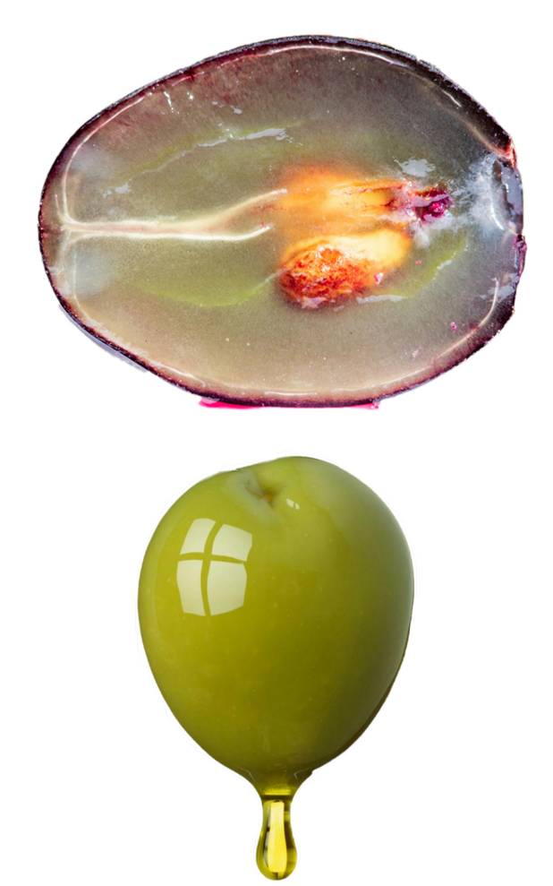 Wein&Gesund den Phenolen auf der Spur