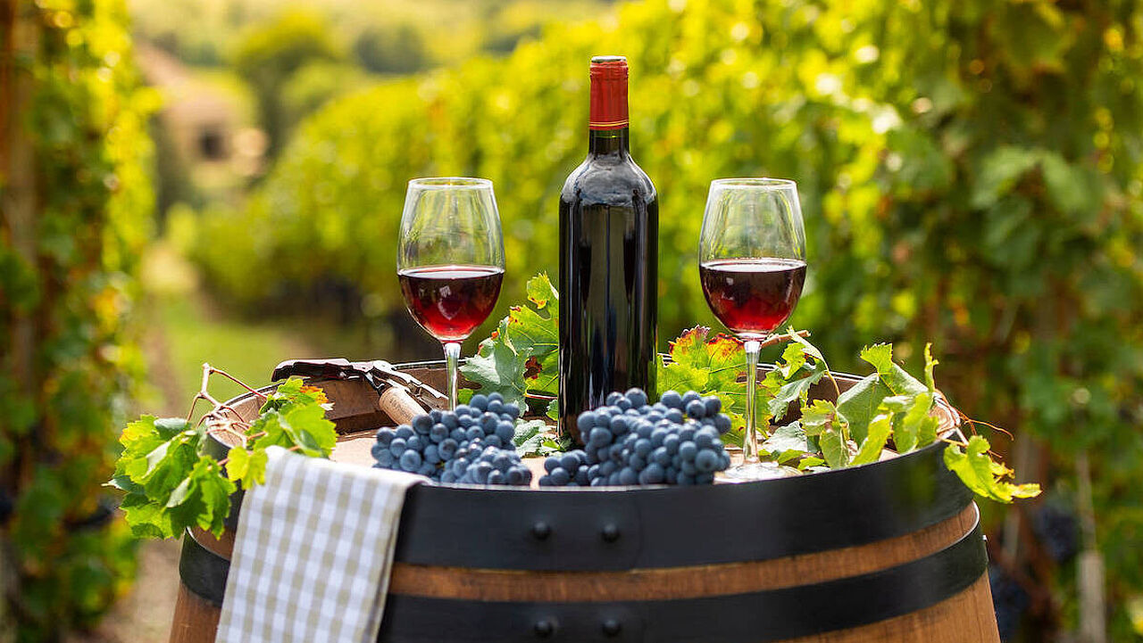 Wein kann helfen, altersbedingte Einschränkungen zu vermeiden